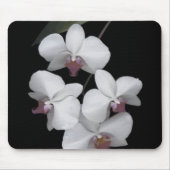 Rein Mousepad (Vorne)