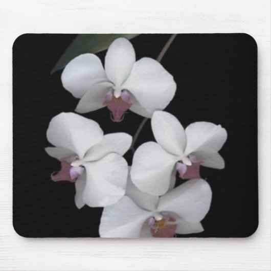 Rein Mousepad (Vorne)