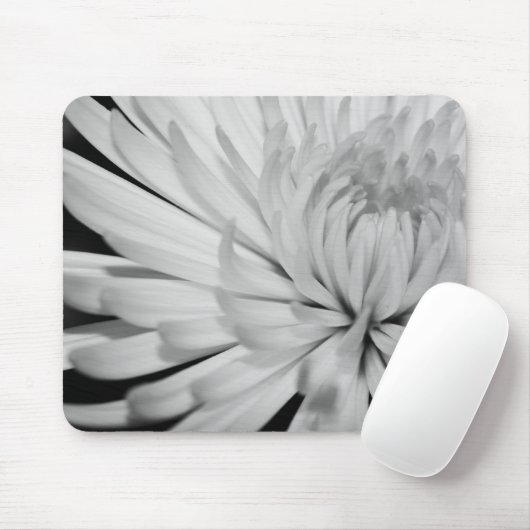 Rein Mousepad (Mit Mouse)