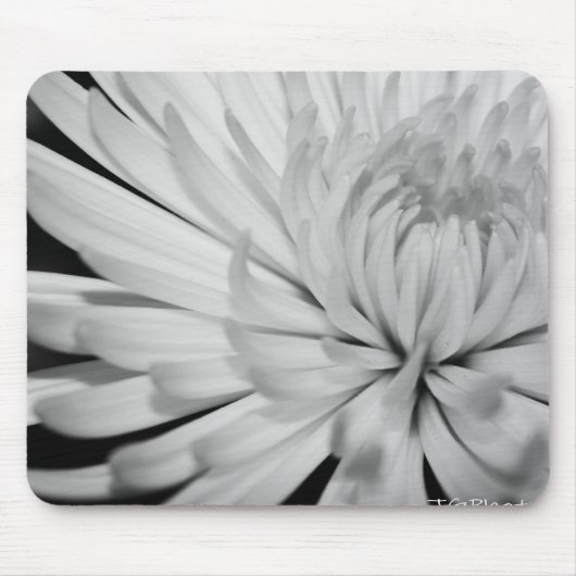 Rein Mousepad (Vorne)