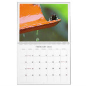 Rein Panama Kalender 2025 (Feb 2026)