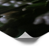 Rein Poster (Ecke)