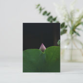 rein postkarte (Stehend Vorderseite)