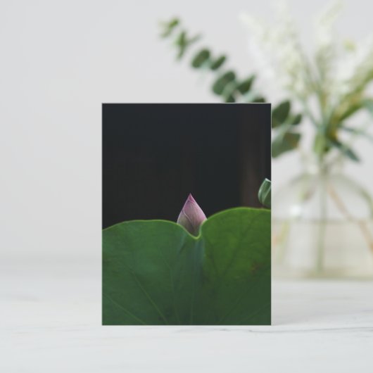 rein postkarte (Stehend Vorderseite)