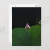 rein postkarte (Vorne/Hinten)