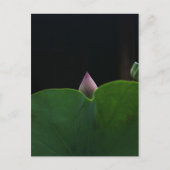 rein postkarte (Vorderseite)