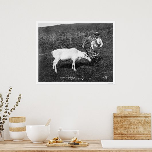 Reindeer & Eskimo Alaska 1920 Poster (Küche)