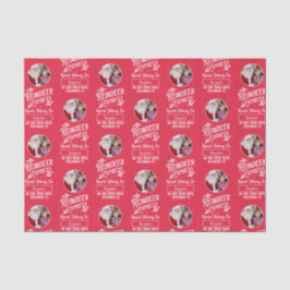 Reindeer Express von Weihnachts-Weihnachtsrot aus  Seidenpapier