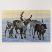 Reindeer Family in the Snow Puzzle (Horizontal)
