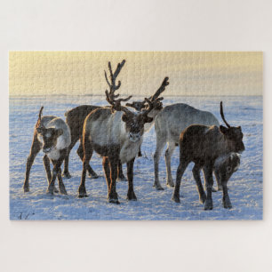 Reindeer Family in the Snow Puzzle