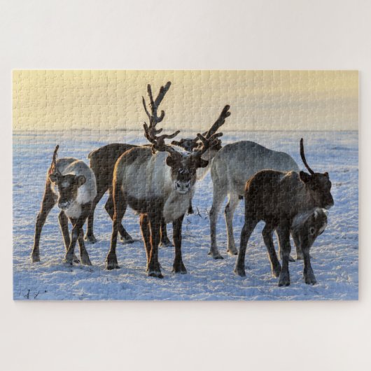 Reindeer Family in the Snow Puzzle (Horizontal)