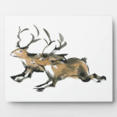 Reindeer Fotoplatte (Vorderseite)