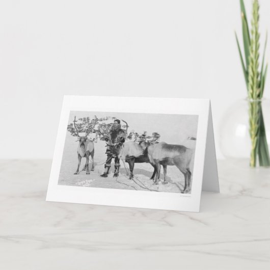 Reindeer Herd Alaska 1909 Feiertagskarte (Vorderseite)
