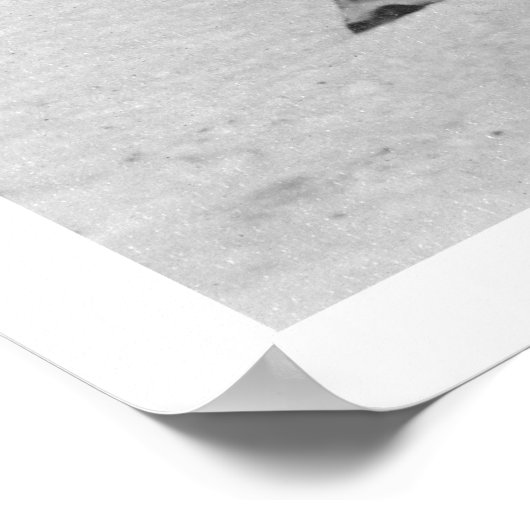 Reindeer Herd Alaska 1909 Poster (Ecke)