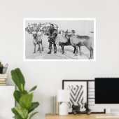 Reindeer Herd Alaska 1909 Poster (Heimbüro)
