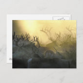 Reindeer Herd Postkarte (Vorne/Hinten)