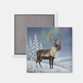 Reindeer in Lapland Finland Travel Magnet (Vorderseite/Rückseite)