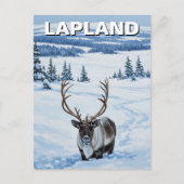 Reindeer in Lapland Finland Travel Postkarte (Vorderseite)
