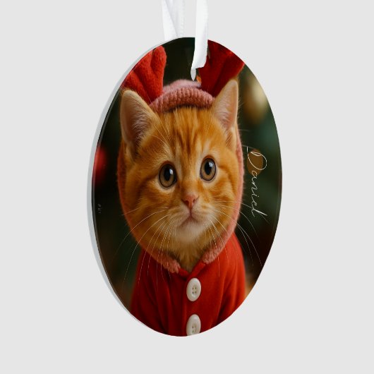 Reindeer Kitten Ornament (Vorderseite)