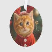 Reindeer Kitten Ornament (Vorderseite)