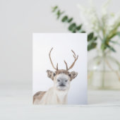 Reindeer Postkarte (Stehend Vorderseite)