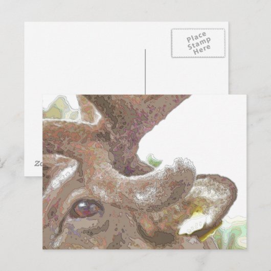 REINDEER POSTKARTE (Vorne/Hinten)