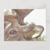 REINDEER POSTKARTE (Vorderseite)
