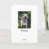 Reindeer Prima Feiertagskarte (Rückseite)