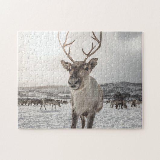 Reindeer Puzzle (Horizontal)