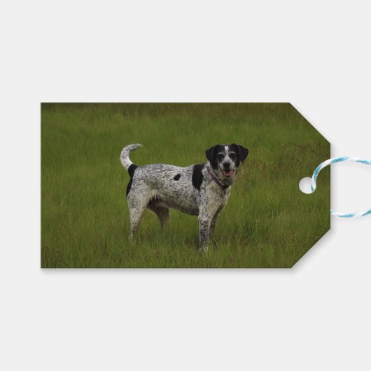 Reine Freude Geschenkanhänger (Vorderseite (Horizontal))