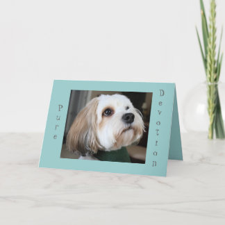 Reine Hingabekarte Karte