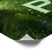 REINE JADE POSTER (Ecke)