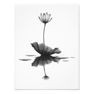 Reine Lotus-Schönheit Fotodruck