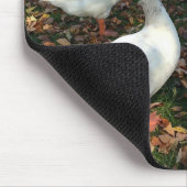 Reine Natur Mousepad (Ecke)