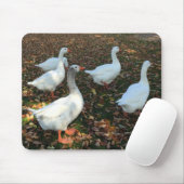 Reine Natur Mousepad (Mit Mouse)