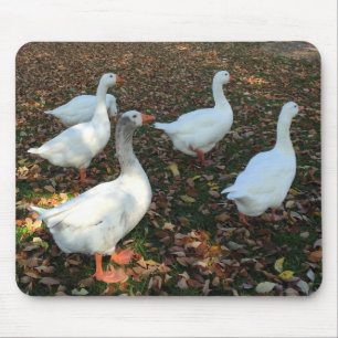 Reine Natur Mousepad