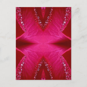 Reine Rose Petal Art - Rotes Blut in Rosa Postkarte