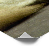 Reine Ruhe Poster (Ecke)