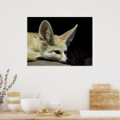 Reine Ruhe Poster (Küche)