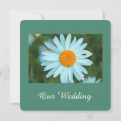 Reine, wunderschöne weiße Blume aquamarine Hochzei Einladung (Rückseite)