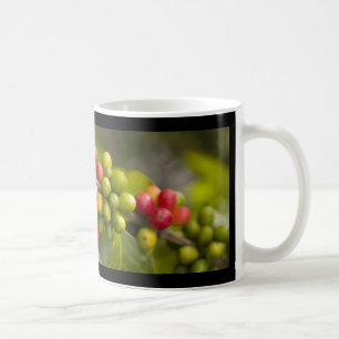 REINER KONA KAFFEE KAFFEETASSE