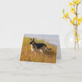 Reines gezüchtetes Schäferhund-Foto auf Karte (Gelbe Blume)