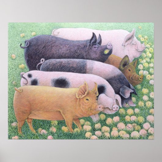 Reines Vergnügen Poster (Vorne)