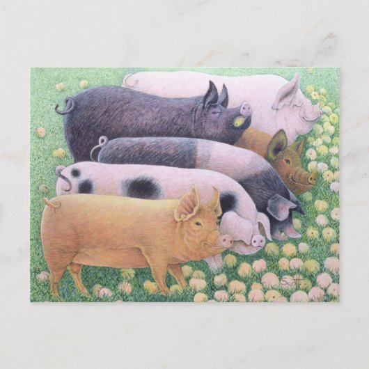 Reines Vergnügen Postkarte (Vorderseite)