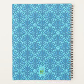 Reinfektionspläne halten Coon aquamarin Planer (Rückseite)