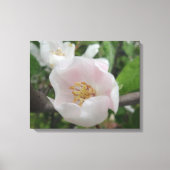 Reinheit Leinwand (Vorderseite)