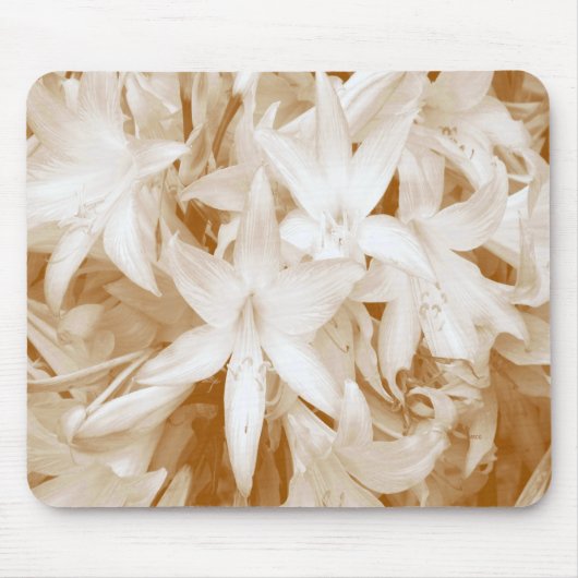 Reinheit... Mousepad (Vorne)