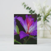 Reinheit Postkarte (Stehend Vorderseite)