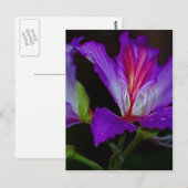 Reinheit Postkarte (Vorne/Hinten)