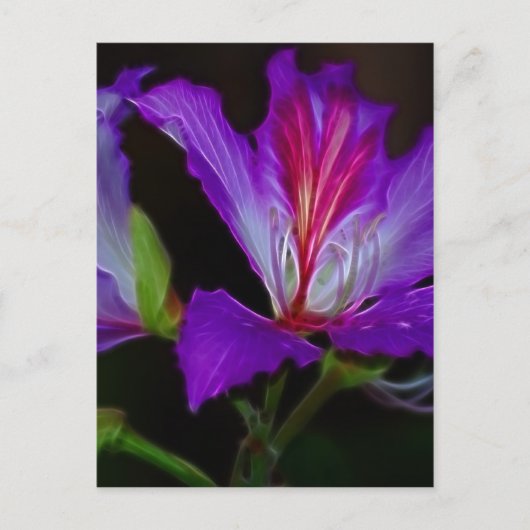 Reinheit Postkarte (Vorderseite)